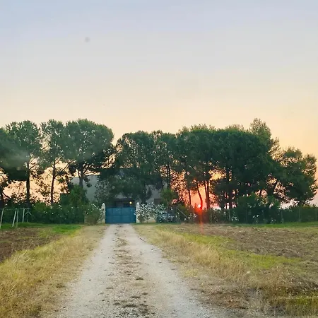 L'oasi Del Pardo Villa *